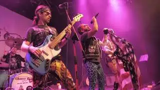 Cherry Gang 80's Hard & Glam Rock Tribute - Here I Go Again - [Whitesnake Cover]