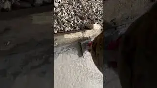 Бетонирование двора , создание кромки на бетоне #shortvideo #construction #shortshorts #minishorts