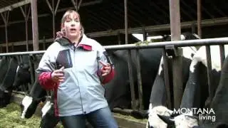 MADE IN MONTANA: How Kalispell Kreamery makes some of Western Montana's best milk