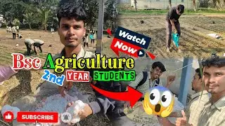 🌾BSc Agriculture Student Field Vlog🌱 || Exploring Rural Life and Practical Learning!
