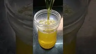 homemade floor cleaner #shortsvideo