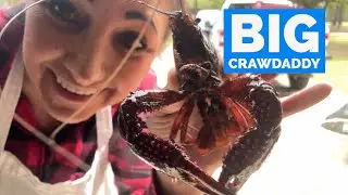 Let’s Have A Crawfish Boil | Making Memories