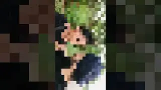 😂 just fun| cngi att krai 🤪😂