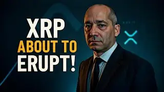 Раскрыто важное движение XRP &mdash; держатели вот-вот получат большую прибыль