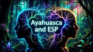 Ayahuasca Gave Me Access to Non-Local Consciousness