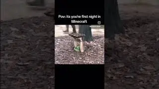 You're First night in Minecraft #meme #memes #minecraft #minecraftshorts