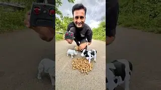 RC Cow and Elephant Unboxing | Remote Control Elephant Eat Peanut