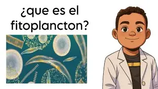&iquest;Que es el fitoplancton?