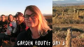 Meerkat Encounter Oudtshoorn | Africa Vlog 17