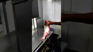 Amazing Silver Fish Cutting Skills in Bangladesh Fish Market in Exeter Cutter Man In #shortsvideobd