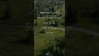 Unveil The Truth: The Power of Compassionate Curiosity