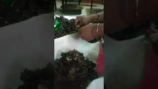 How to do remove tamarind seed easy method