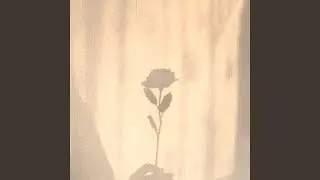 Can I Love You (Interlude)