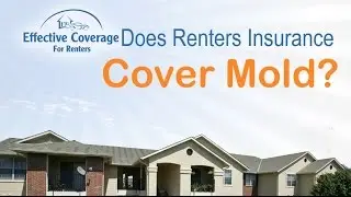 Does Renters Insurance Cover Mold?