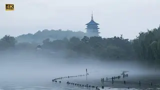Walking by The Most Beautiful Lake in China in Spring—West Lake, Hangzhou.