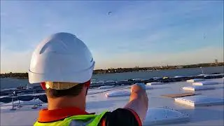 BTP Seagull & Pigeon Control With Hawks