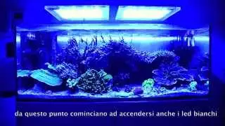DaniReef presenta: Acquario marino - alba e tramonto - Sicce GNC AM466 Led