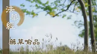 【靜思妙蓮華】法華經藥草喻品 - 為諸眾生 演說諸法 - 20210720 第905集