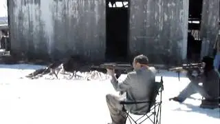 ak romy g
