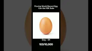 World' Record Egg 🥚 #edit #egg #motivation #10k #trending #shortsfeed