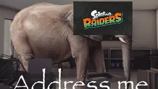 Where is Splatoon Raiders?