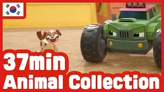 TOMONCAR Original Animal Friends Episode Full (37min) | TOMONCAR Original TV Series