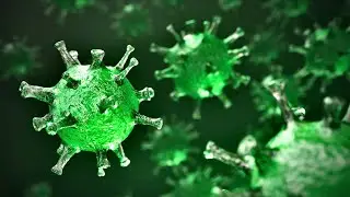 Sorrento Therapeutics CEO discusses new antibody test to detect COVID-19