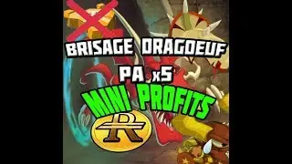 BRISAGE PA #3 - CASQUE DRAGOEUF x5: PETITS PROFITS !