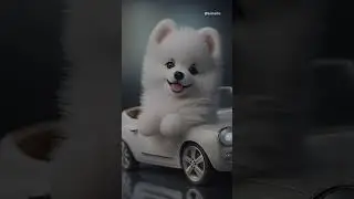 Cute Dog 4K Wallpapers.  Link in About  #wallpaper #shorts #viralshorts