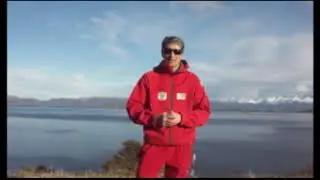 Formar un Perro en m&uacute;ltiples tareas SOSCR Canino al Rescate