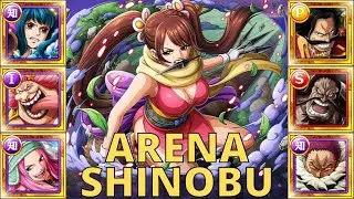 OPTC Arena Shinobu! 4 TEAMS! (One Piece Treasure Cruise)