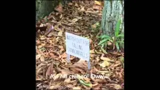 davemadson's Funny Signs: The Curse of the Unknown Meat Spanish Subtitled