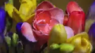 The 6 Days of Creation - Genesis 1 (KJV)
