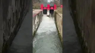 #nature #trending #ytshorts #canal #love #naturelovers #natural #naturephotography