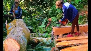 Synthesised video, cut trees, saw wood to make a house, everyone is surprised