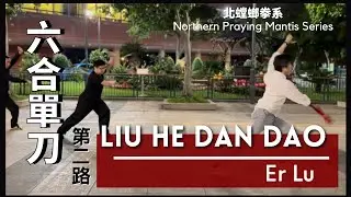 北螳螂拳系-六合單刀(第二路)Northern Praying Mantis- Liu He Dan Dao (Er Lu)