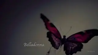 Sad & Emotional Dark Piano Piece ~ &ldquo;Belladonna&rdquo; ｜ Dark Decadent ｜