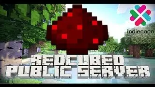 Redcubed Public Server Project (indiegogo)