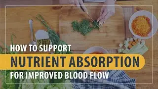 How Improved Nutrient Absorption Can Boost Circulation & Blood Flow