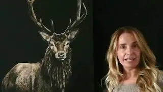 Dipinto del Cervo Sardo dell'artista Tiziana Sanna-Tisha wildlife artist- Sardinian Deer painting