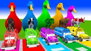 5 Giant Duck Cartoon,Cow,Elephant,Tiger,Lion,Dinosaur,Paint Wild Animals Crossing Fountain Animation