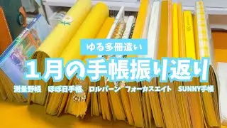 #351 【手帳パラパラ】１月の手帳の中身振り返り！/測量野帳/ロルバーン/ほぼ日手帳/SUNNY手帳/フォーカスエイト手帳【多冊遣い】