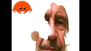 Bad Apple with Epstein Files but just 1 File per Frame