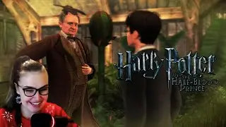 VEE'S XMAS MARATHON: HARRY POTTER AND THE HALF-BLOOD PRINCE (PC)