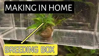 How to make breeding box for your fish | Homemade breeding box | Breeding box.