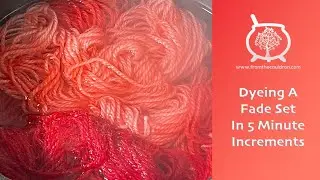Dye Time #154: Dyeing A Fade Set In 5 Minute Increments, Hand Dyed Yarn, Indie Dyer, Left Over Dye