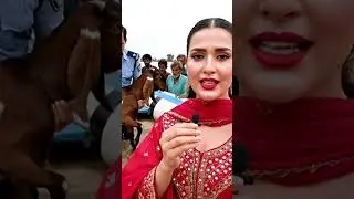 South Punjab Flood Managment Saving Animals #aiwander #ai #virtualtravel