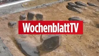 Stadt Wittmund k&ouml;nnte sich Dr. M&uuml;ller-Wohlfahrt als Ehrenbotschafter vorstellen