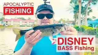Fishing Disney