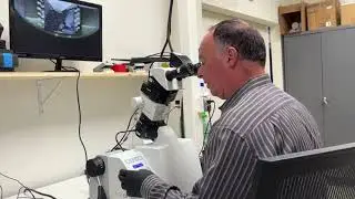 Advanced Sample Preparation Technology - Microscopy Expert